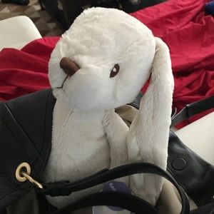 Meet your Posher, Eunyoung